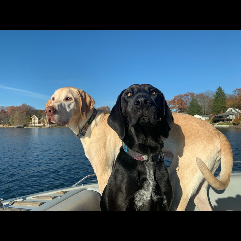 Meet your Posher, Lisa